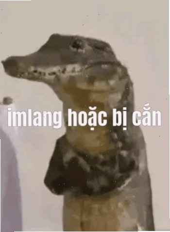 meme cá sấu