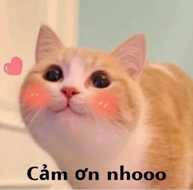 meme cảm động