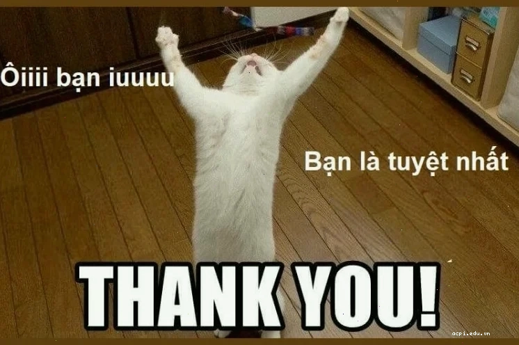 meme cảm động