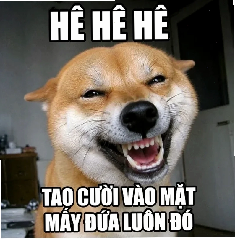 meme cảm động
