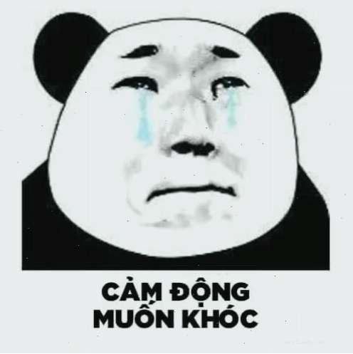 meme cảm động