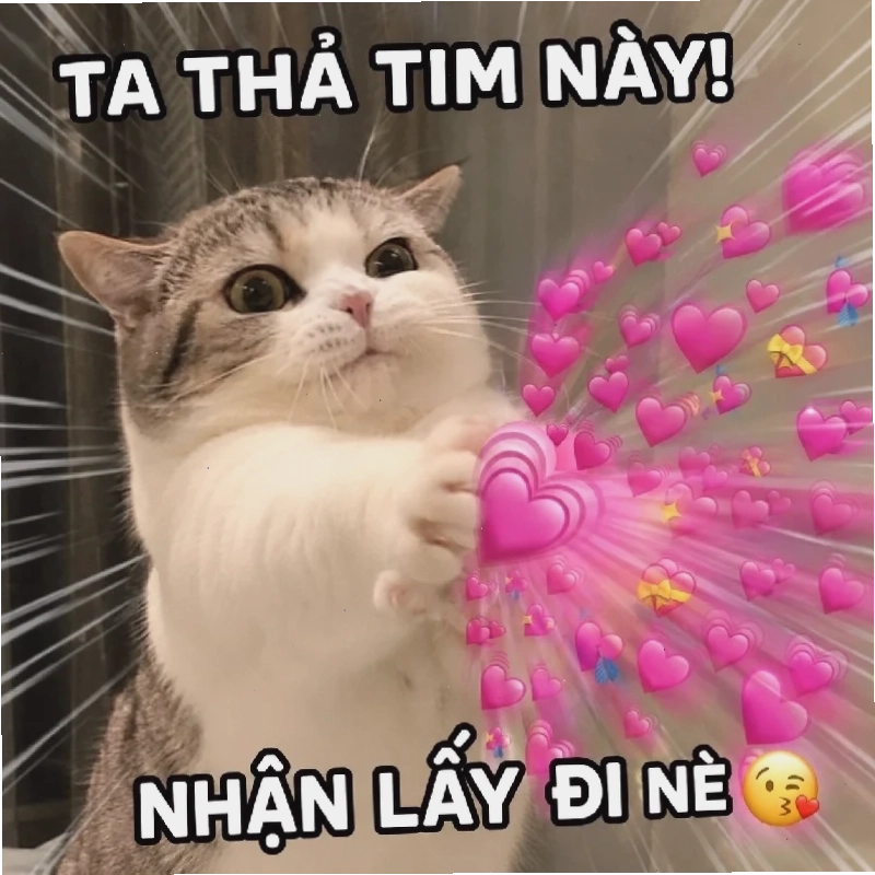 meme cảm động