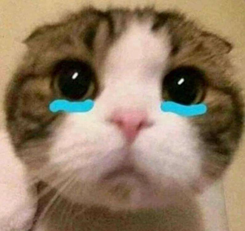 meme cảm động
