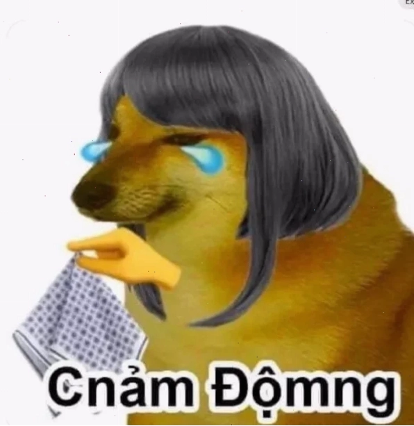 meme cảm động