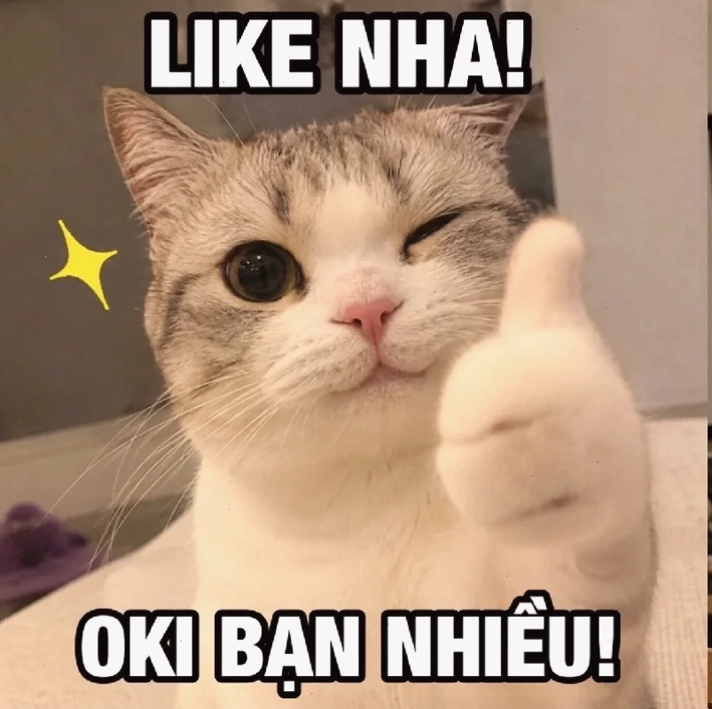 meme cảm động