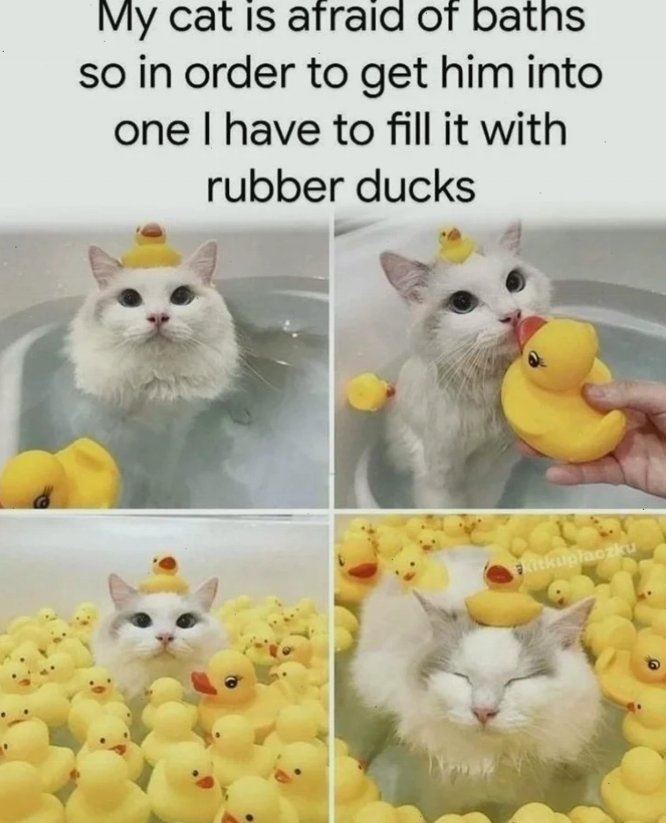 Meme cảnh báo
