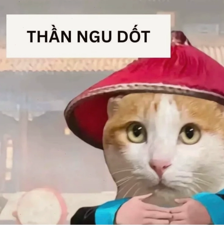 meme cáo từ buồn