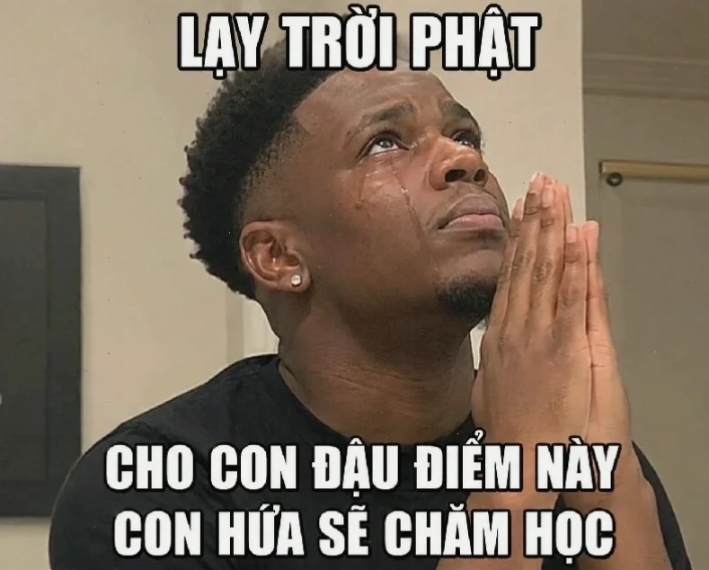 meme cáo từ châm biếm
