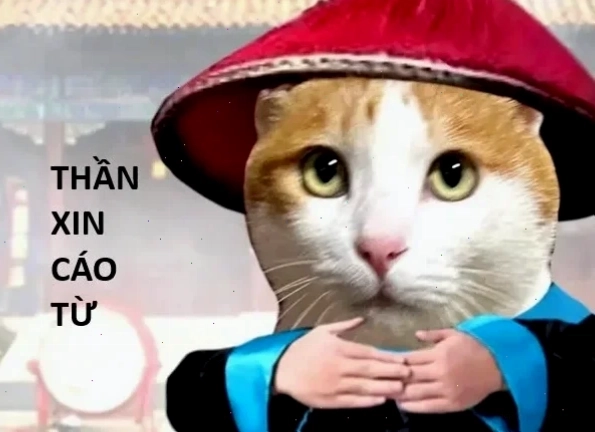 meme cáo từ chắp tay