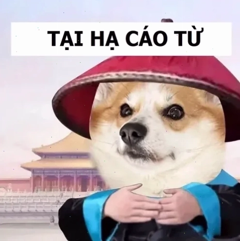 meme cáo từ cười nhạt