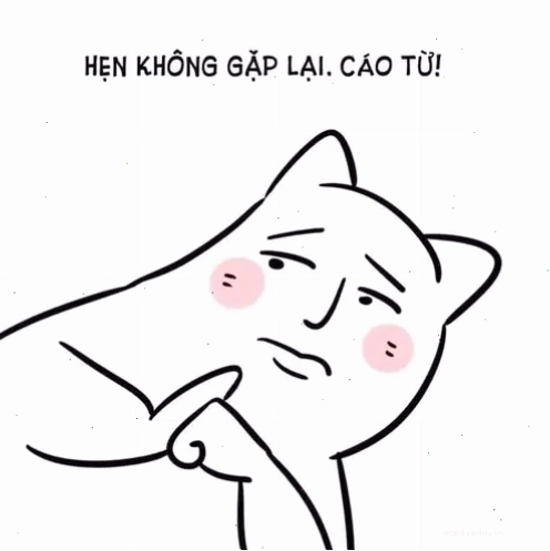 meme cáo từ gấu trúc zoom