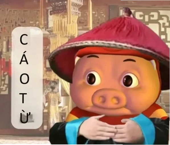 meme cáo từ gió thổi