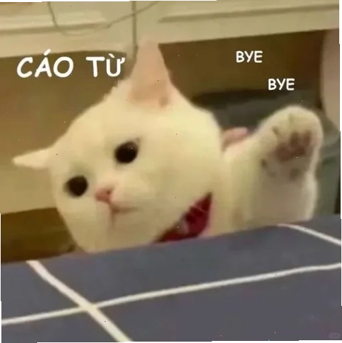 meme cáo từ kiếm hiệp