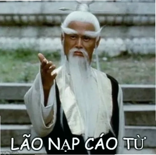 meme cáo từ nhìn cửa kính