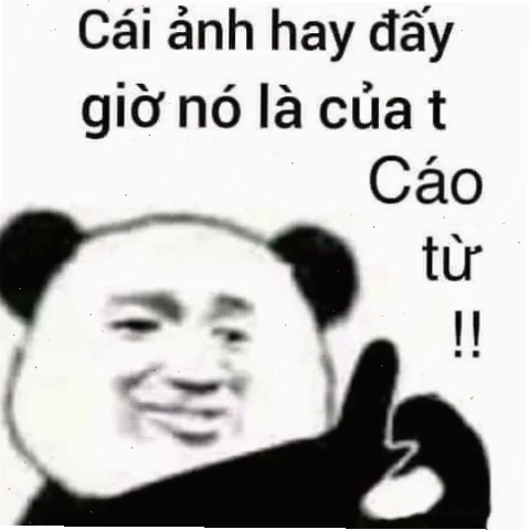 meme cáo từ phong thái