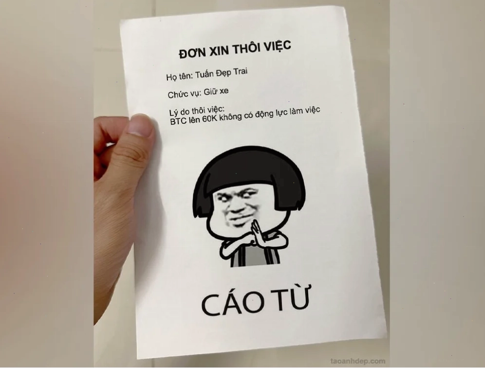 meme cáo từ rời bàn họp
