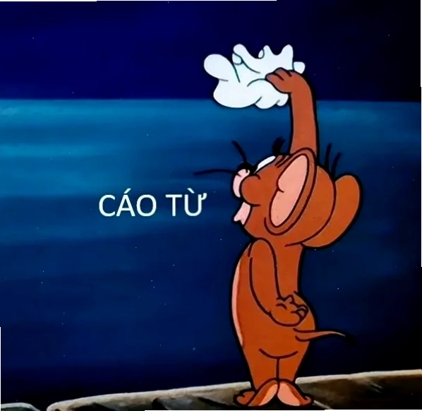 meme cáo từ rút lui