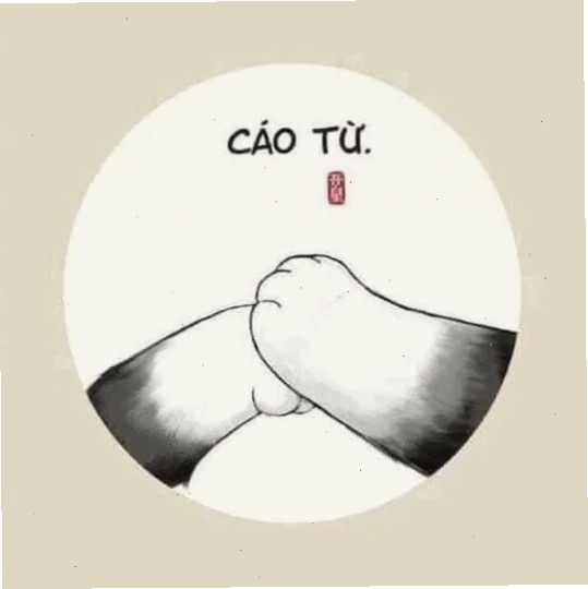 meme cáo từ trà đạo
