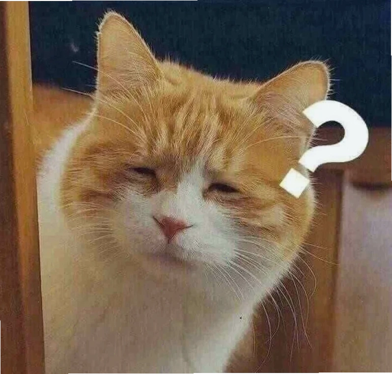 meme câu hỏi
