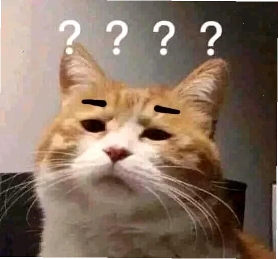 meme câu hỏi