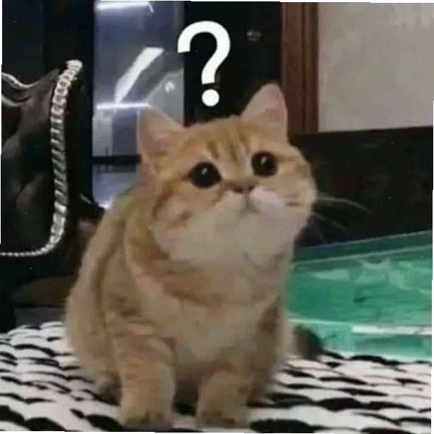 meme câu hỏi