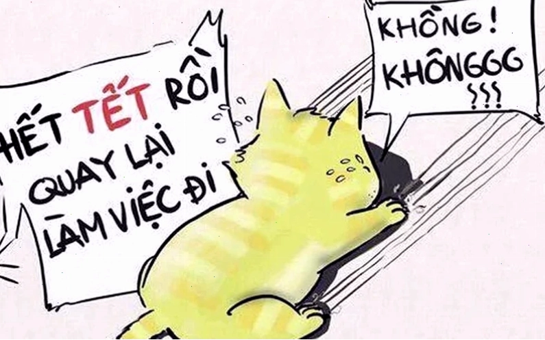 Meme câu hỏi khó tet meme