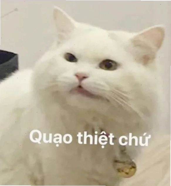 meme cay cú