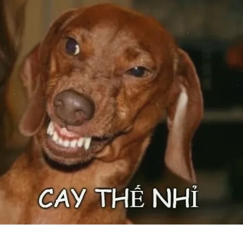 meme cay cú