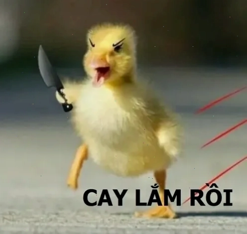 meme cay cú