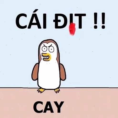 meme cay cú