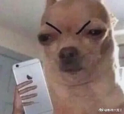 Meme chấm điểm hài hước