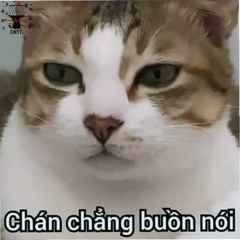 meme chán đời đáng yêu