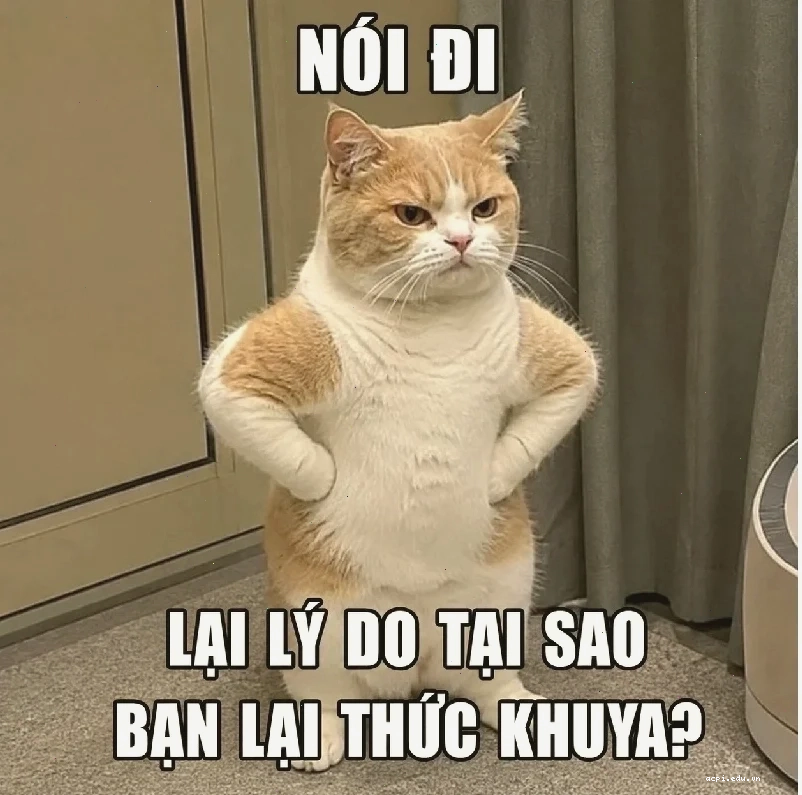 meme chán đời do deadline dí