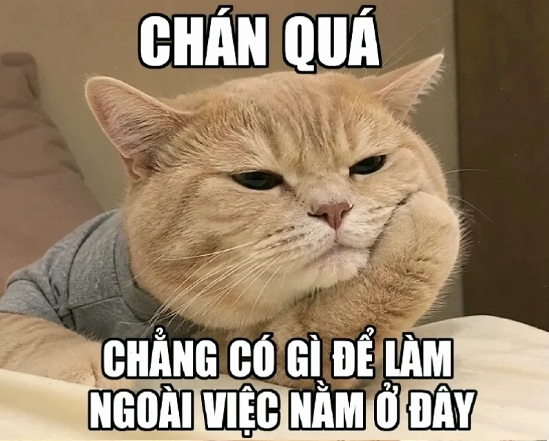 meme chán đời không muốn nói thêm