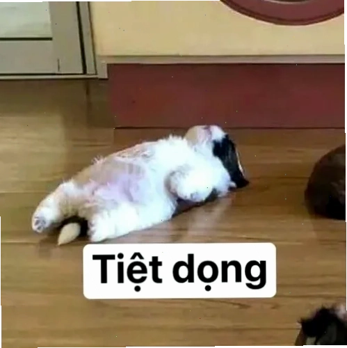 meme chán đời nằm dài trên ghế