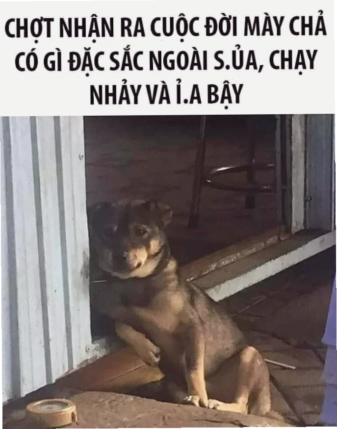 meme chán đời với vẻ mặt ngơ ngác