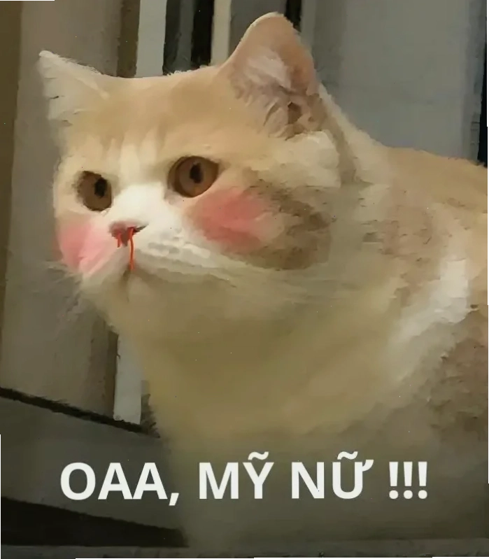 meme chảy máu mũi choáng váng