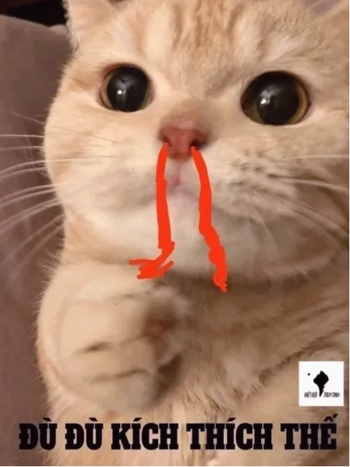 meme chảy máu mũi xỉu visual