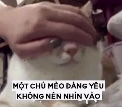 meme che mắt chúa ngượng ngùng