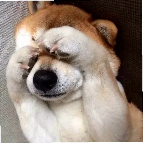 meme che mắt giả bộ