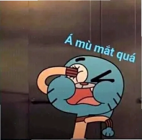 meme che mắt hamster