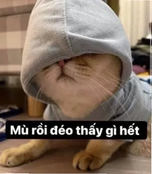 meme che mắt khi gặp cảnh phản cảm