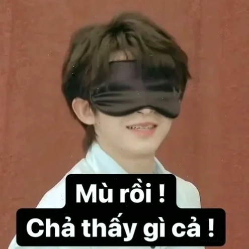 meme che mắt mèo đáng yêu