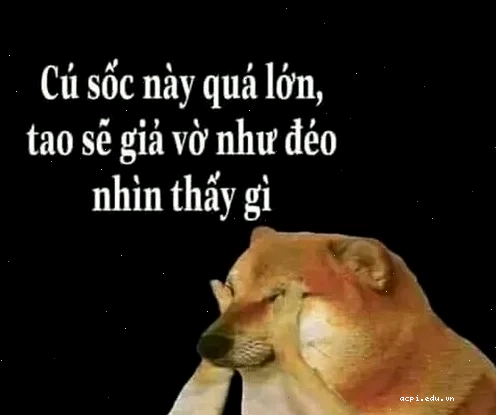 meme che mắt né tránh