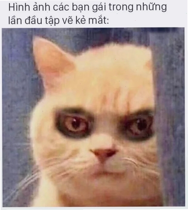 meme che mắt vui nhộn