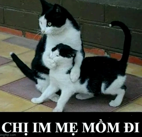 Meme chị im đi nhếch mép