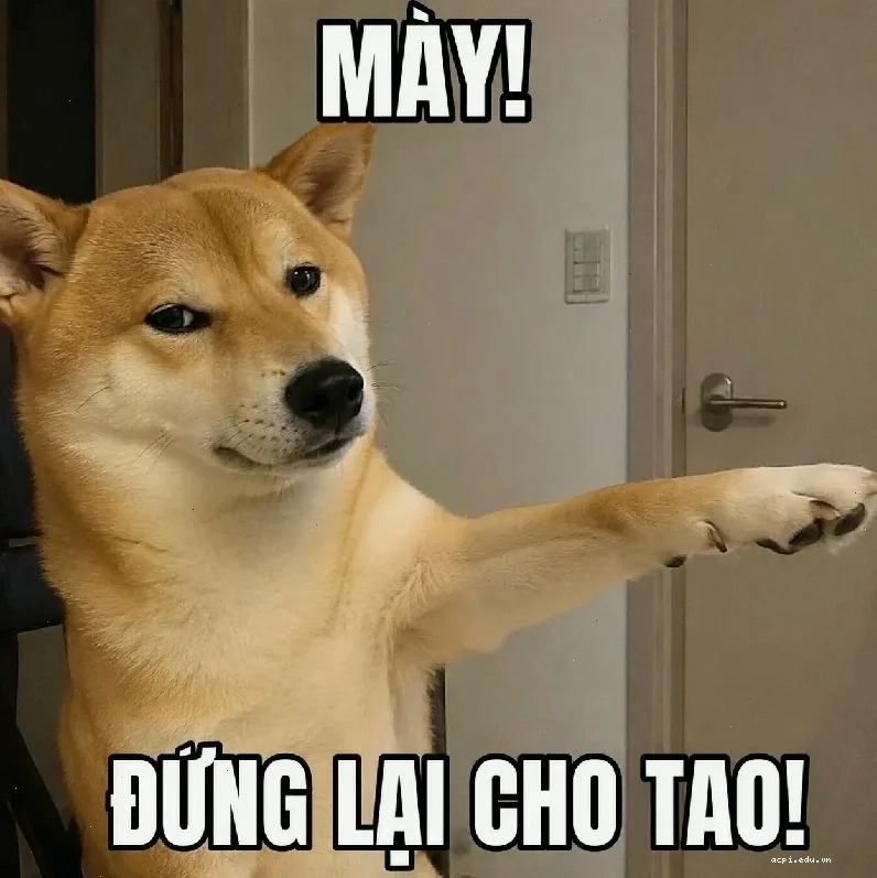 Anime chỉ tay meme Meme chỉ tay anime lầy lội