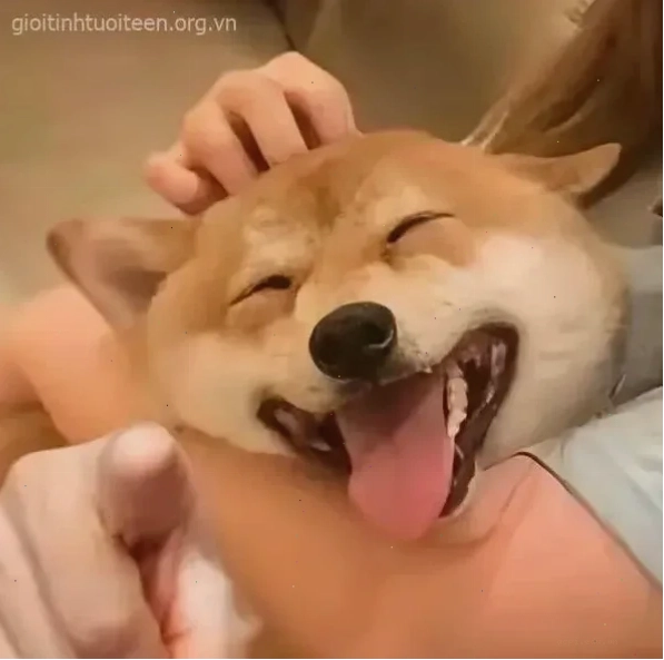Meme chỉ tay Meme chỉ tay dằn mặt