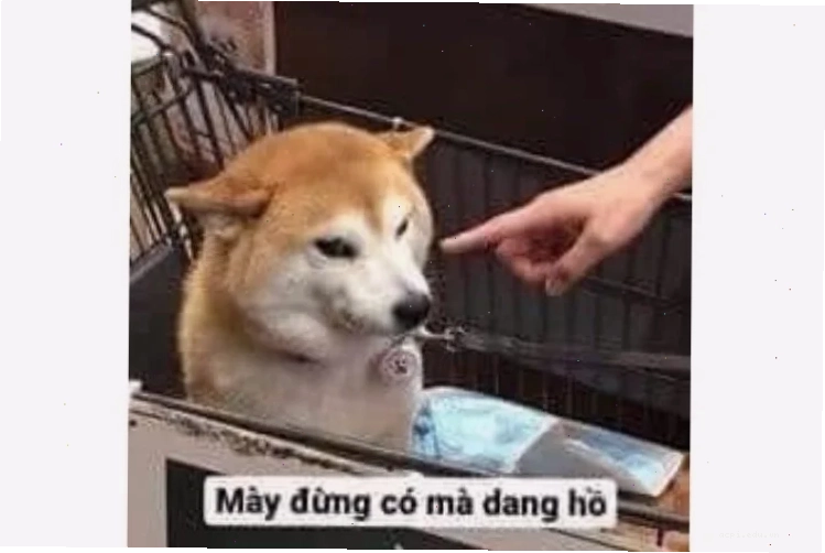Chỉ tay đánh giá Meme chỉ tay đánh giá bạn bè