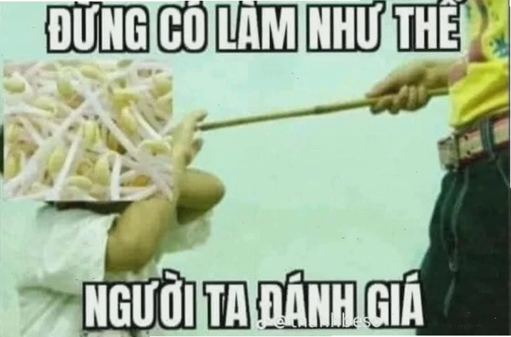 Meme chó đánh giá nhẹ nhàng